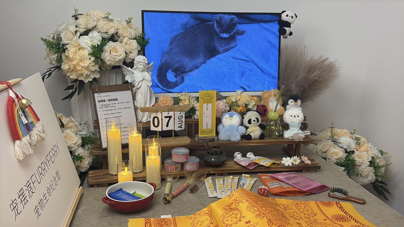 宠物火化需要哪些手续？绍兴所需材料与办理流程
