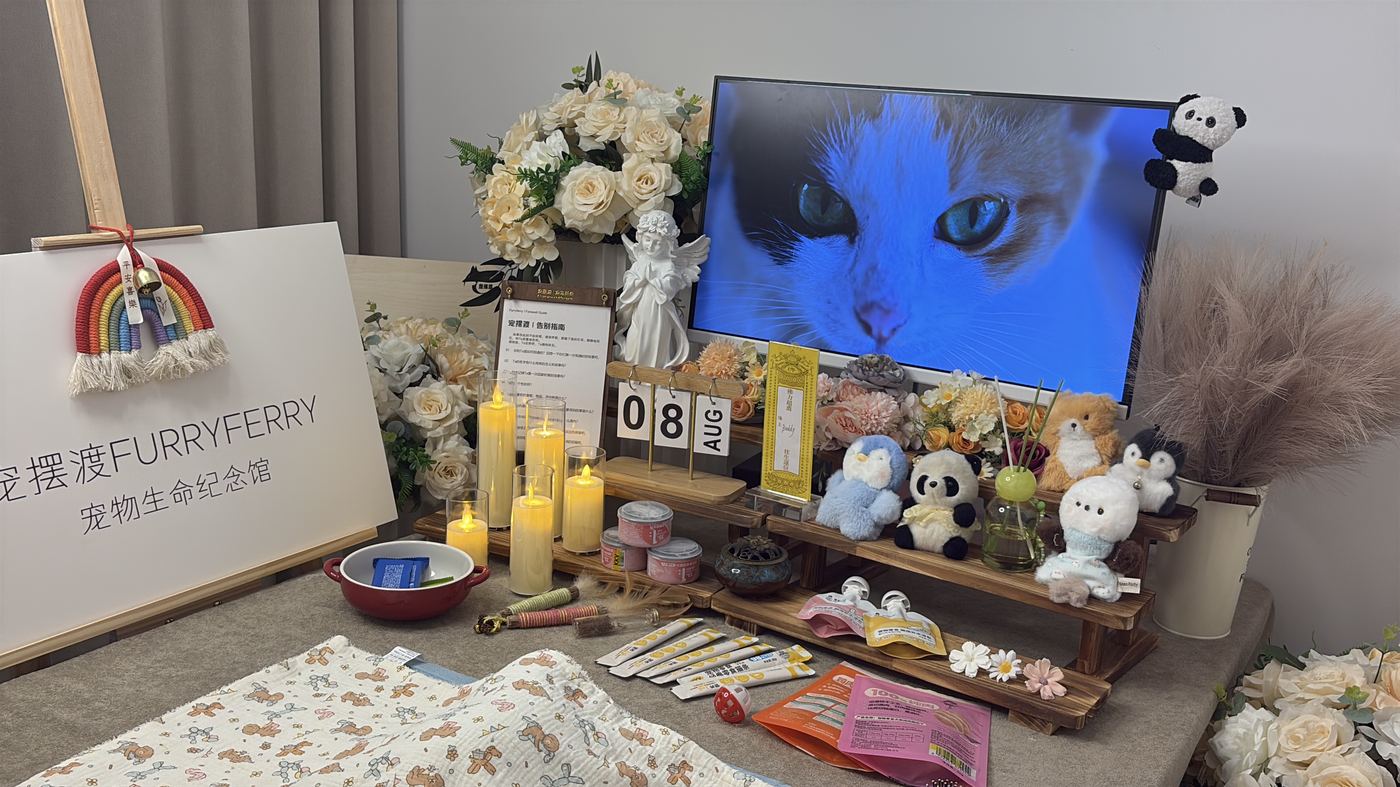猫的遗体如何处理