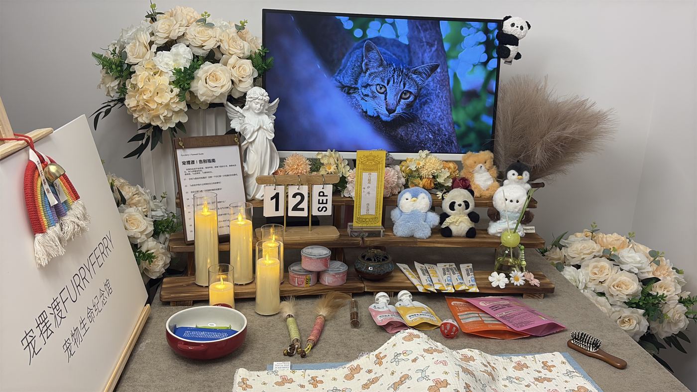 绍兴宠物告别厅布置：如何给越州家属一个体面的告别